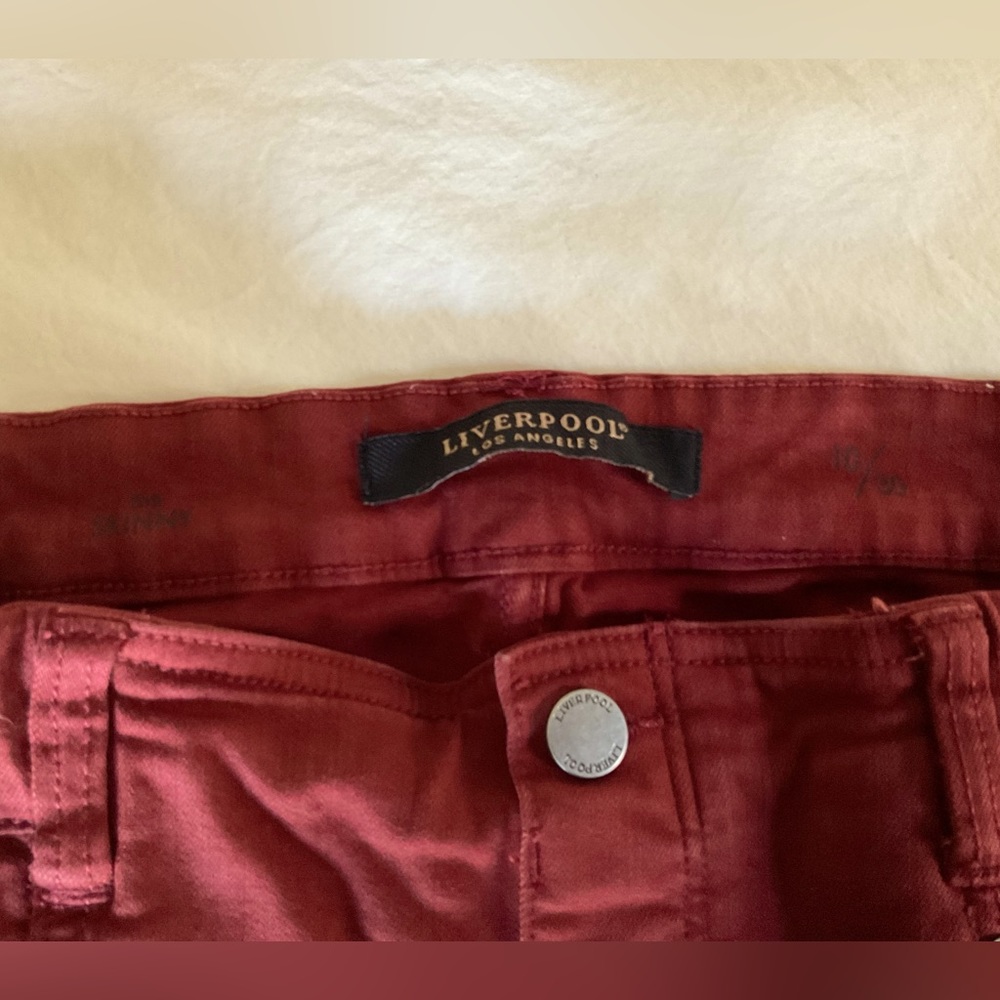 NWOT Liverpool skinny jeans. Never worn. Size 10.